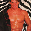 M-MODEL - DAVID GIBBS - POSTER LW15D
