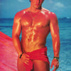 M-MODEL - ROBERT PARRISH-CHIPPENDALES - POSTER LC28A