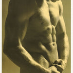 M-MODEL - SIX PACK - POSTER LW3D
