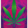 MJ - DOPE DIMENSIONS-DIGITAL HIGH - POSTER LW26L