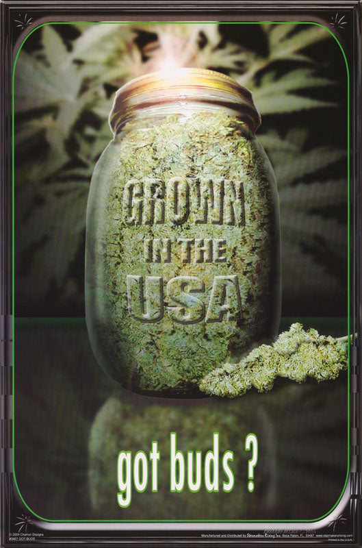 MJ - GOT BUDS - POSTER RC4N