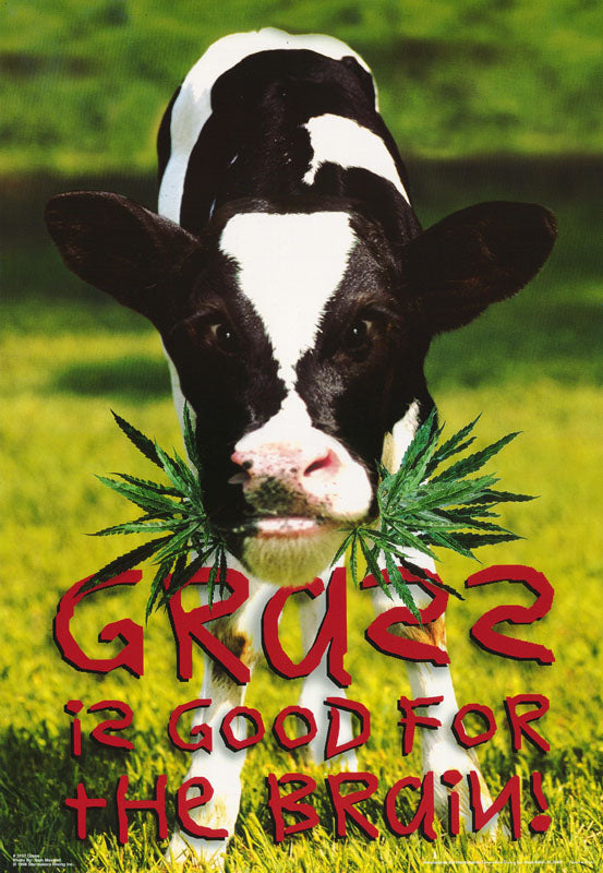 GRASS is GOOD for YOUR BRAIN POSTER