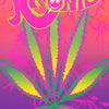 MJ - KRONIC - POSTER RW22J