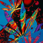 MJ - LEAF - F8 POSTER LC9P
