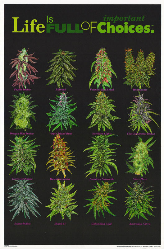 MJ - LIFE is FULL of IMPORTANT CHOICES - POSTER RW2F