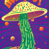 MJ - MAGIC (mushroom) - POSTER LC8E
