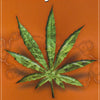 MJ - MARIJUANA - POSTER ST2
