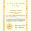 MJ - MARIJUANA PERMIT - POSTER LC2S