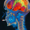 MJ - POTHEAD-THIS IS YOUR BRAIN - POSTER FW1J