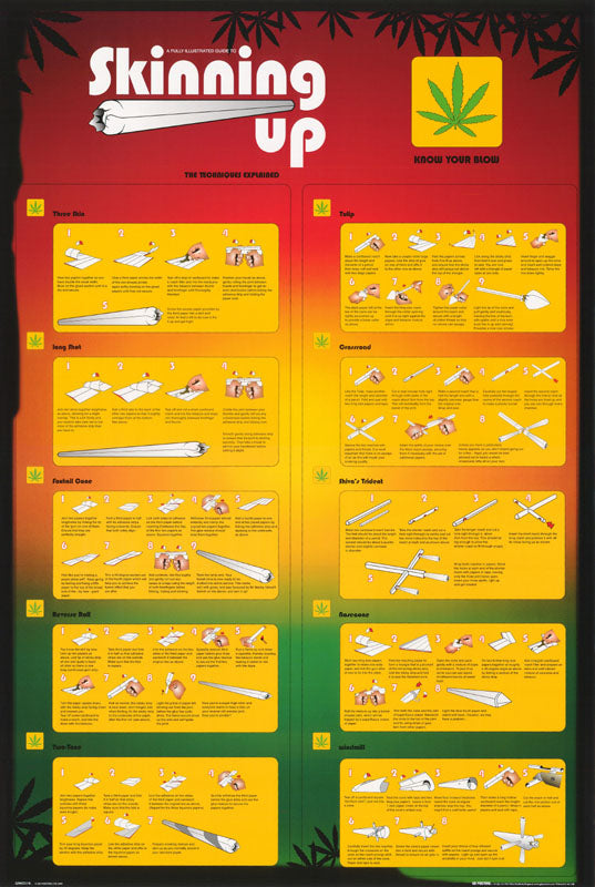 SKINNING UP POSTER