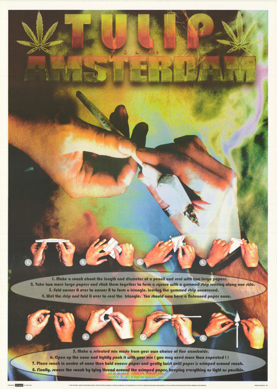 MJ - TULIP AMSTERDAM - POSTER RW15A