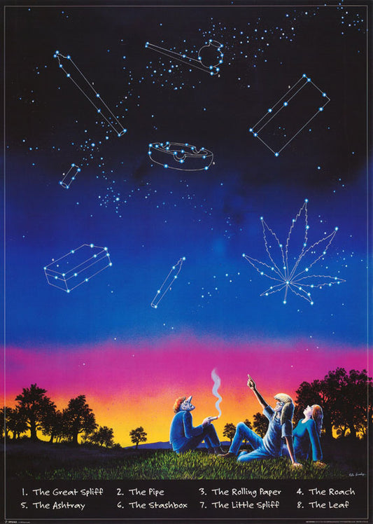 MJ - drup paraphernalia in the stars - POSTER LW11-O