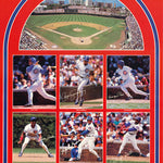 MLB - CHICAGO CUBS ALL STARS - POSTER LW28Y
