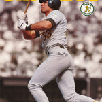 MLB - JOSE CANSECO - POSTER LW27U