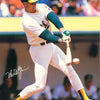 MARK McGWIRE POSTER