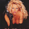MOVIE-BARB WIRE -PAM ANDERSON  POSTER LW24C