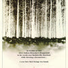MOVIE - BLAIR WITCH PROJECT - POSTER RW21P