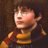 MOVIE - HARRY POTTER - POSTER LW25i