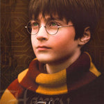 MOVIE - HARRY POTTER - POSTER LW25i