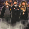 MOVIE - HARRY POTTER-GROUP -POSTER LW21M