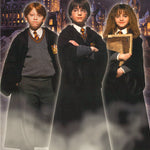 MOVIE - HARRY POTTER-GROUP -POSTER LW21M