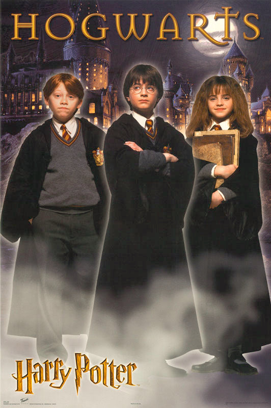 MOVIE - HARRY POTTER-GROUP -POSTER LW21M