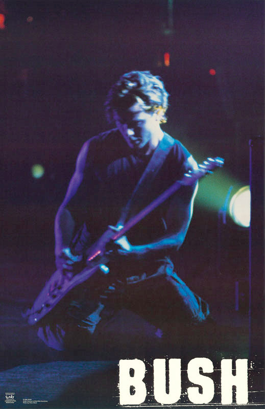 BUSH POSTER