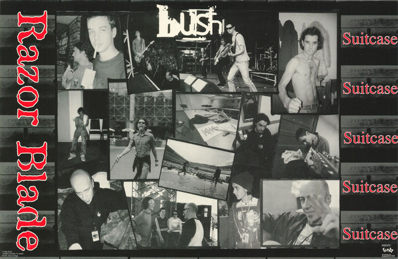 MUSIC BUSH COLLAGE POSTER