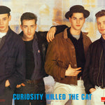 CURIOSITY KILLED the CAT POSTER