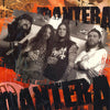 Pantera Poster - Vintage Metal Band Poster