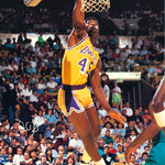 NBA - A.C. GREEN - POSTER LC8J
