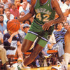 NBA - ROY TARPLEY - POSTER LW17i