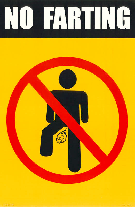 NO FARTING - POSTER LW26Z