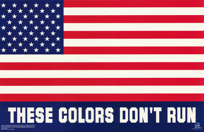 PATRIOTIC-THESE COLORS DON'T RUN - POSTER LW11N