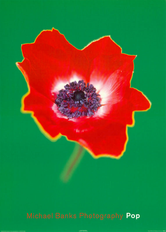 POPPY by MICHAEL BANKS - POSTER