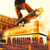 SKATEBOARD - A GRIND is a TERRIBLE THING to WASTE -- POSTER RC5F