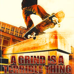 SKATEBOARD - A GRIND is a TERRIBLE THING to WASTE -- POSTER RC5F