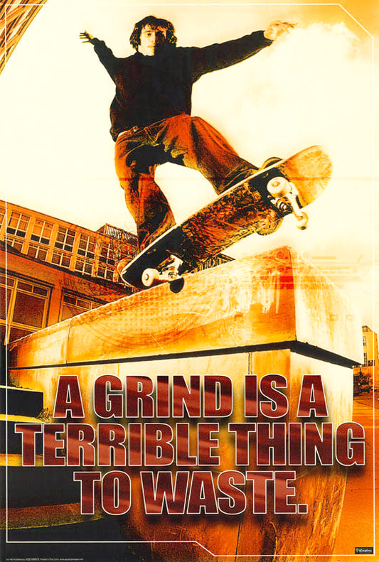 SKATEBOARD - A GRIND is a TERRIBLE THING to WASTE -- POSTER RC5F