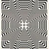SOMA-ILLUSION PERCEPTION & THE MIND - POSTER RW12L