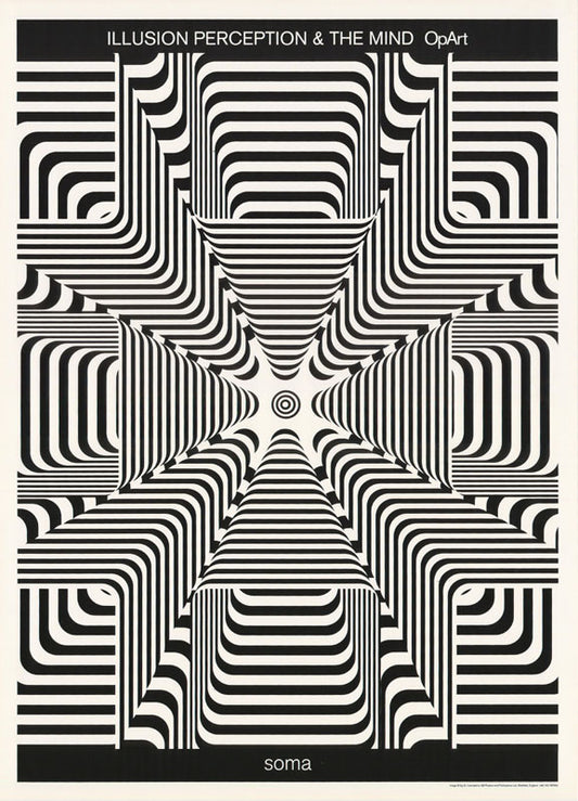 SOMA-ILLUSION PERCEPTION & THE MIND - POSTER RW12L