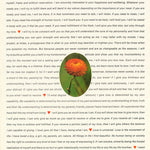 SPECTRUM of LOVE - POSTER RC7A&B