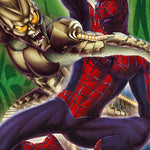 SPIDERMAN vs GREEN GOBLIN POSTER