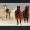 SPIRIT of EQUUS POSTER