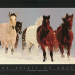 SPIRIT of EQUUS POSTER