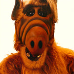 T.V. - ALF GOT CAT -- POSTER RC9T