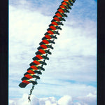 TEAMWORK (parachuting) POSTER