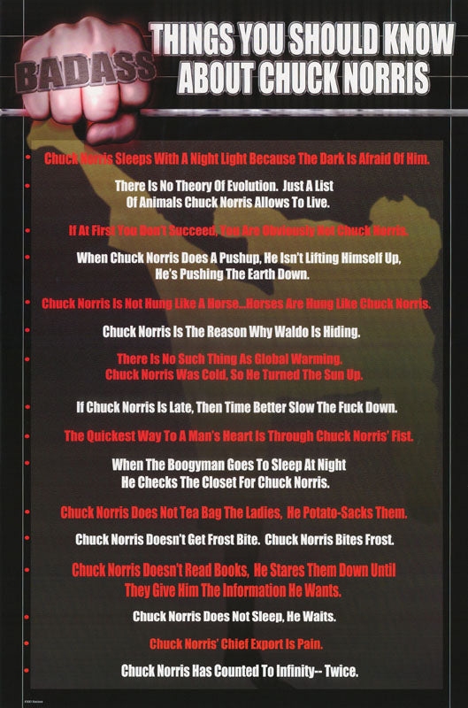 THINGS YOU SHOULD KNOW ABOUT CHUCK NORRIS - POSTER LW8A