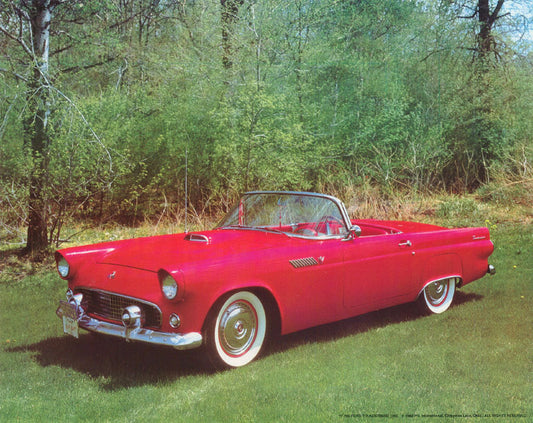 TRANSPORTATION - 1955 FORD THUNDERBIRD - 17-766 POSTER LC10-O