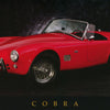 TRANSPORTATION COBRA POSTER