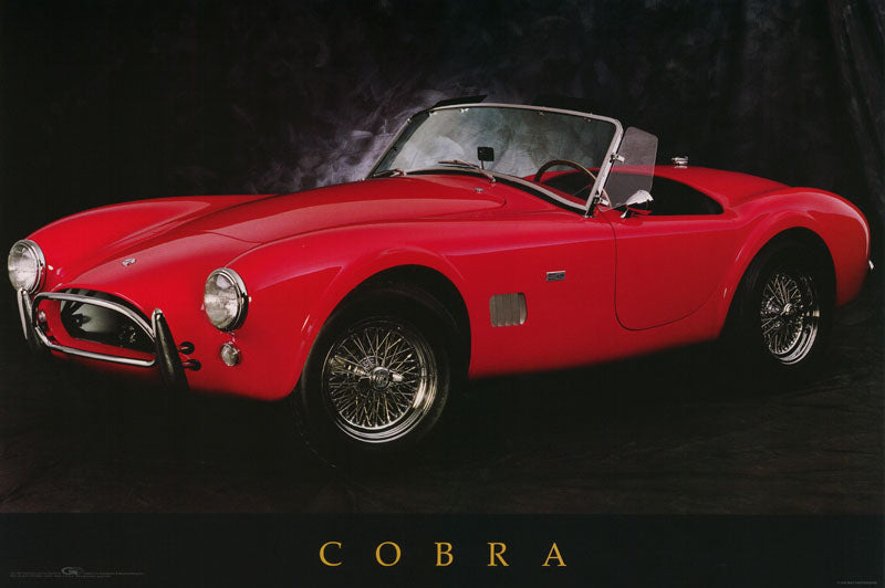 TRANSPORTATION COBRA POSTER